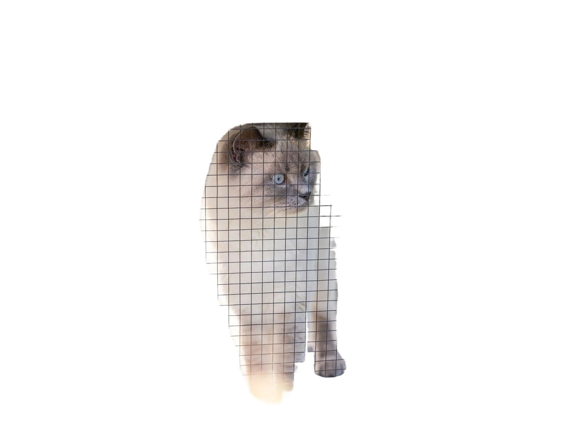 Grå Trixie utendørs lekegård til katt med netting, hule, plattformer og en katt som ser ut.