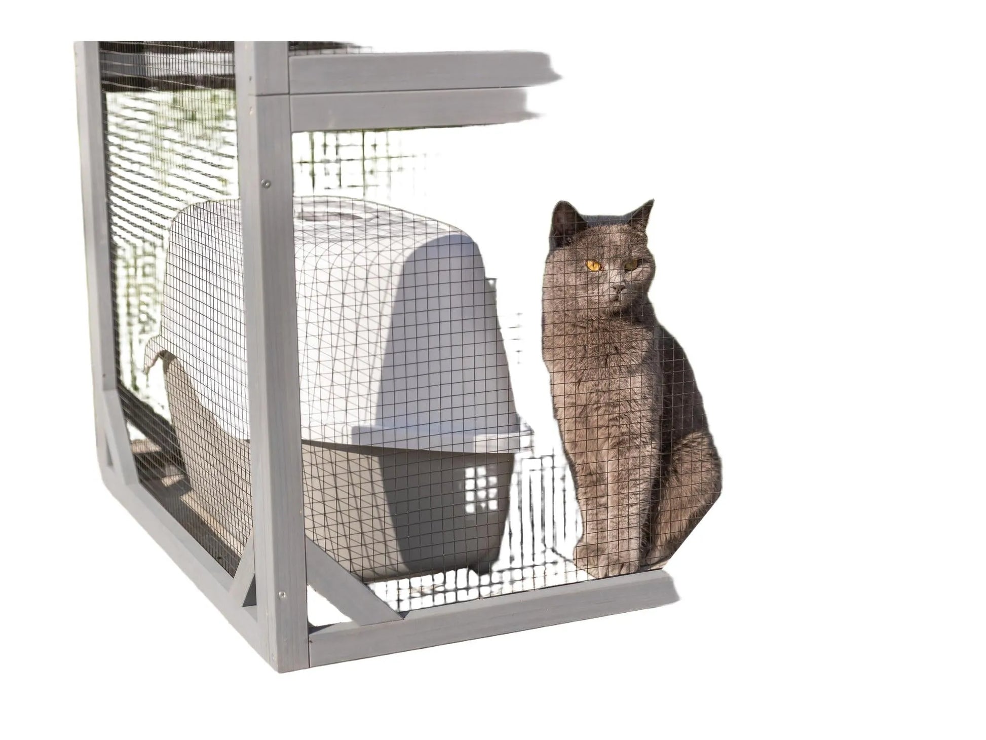 Grå Trixie utendørs lekegård til katt med nettingvegger, en grå katt, og en hvit kattedo.