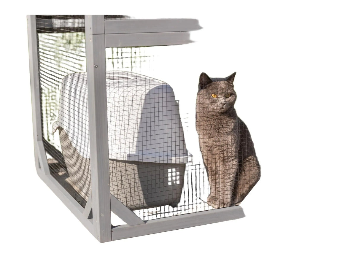 Grå Trixie utendørs lekegård til katt med nettingvegger, en grå katt, og en hvit kattedo.
