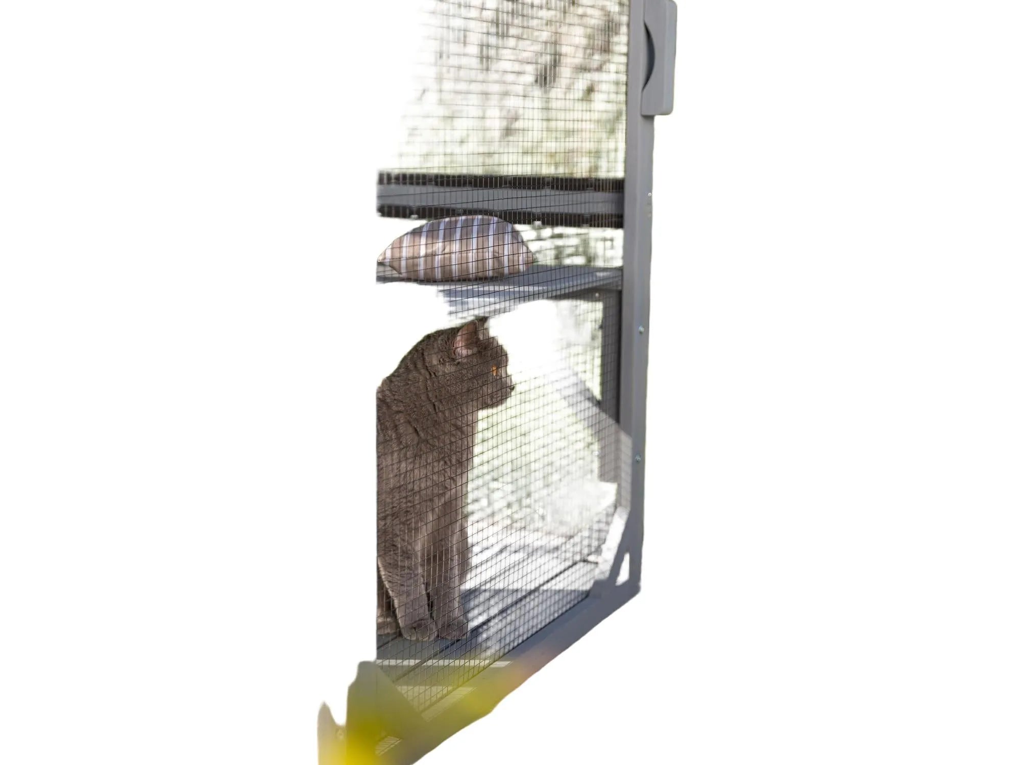 Grå Trixie utendørs lekegård til katt med netting, en britisk korthårskatt, klorestolpe og pute.