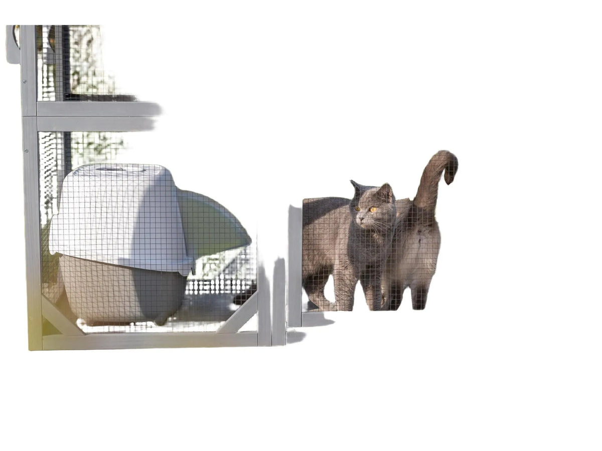 Grå Trixie utendørs lekegård til katt med netting, hule, plattformer og en grå katt.