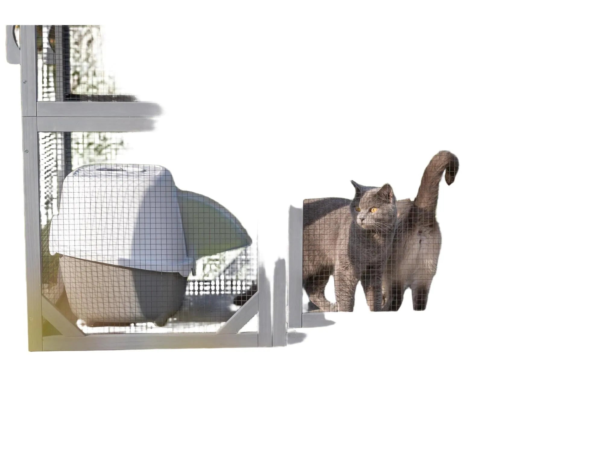 Grå Trixie utendørs lekegård til katt med netting, hule, plattformer og en grå katt.