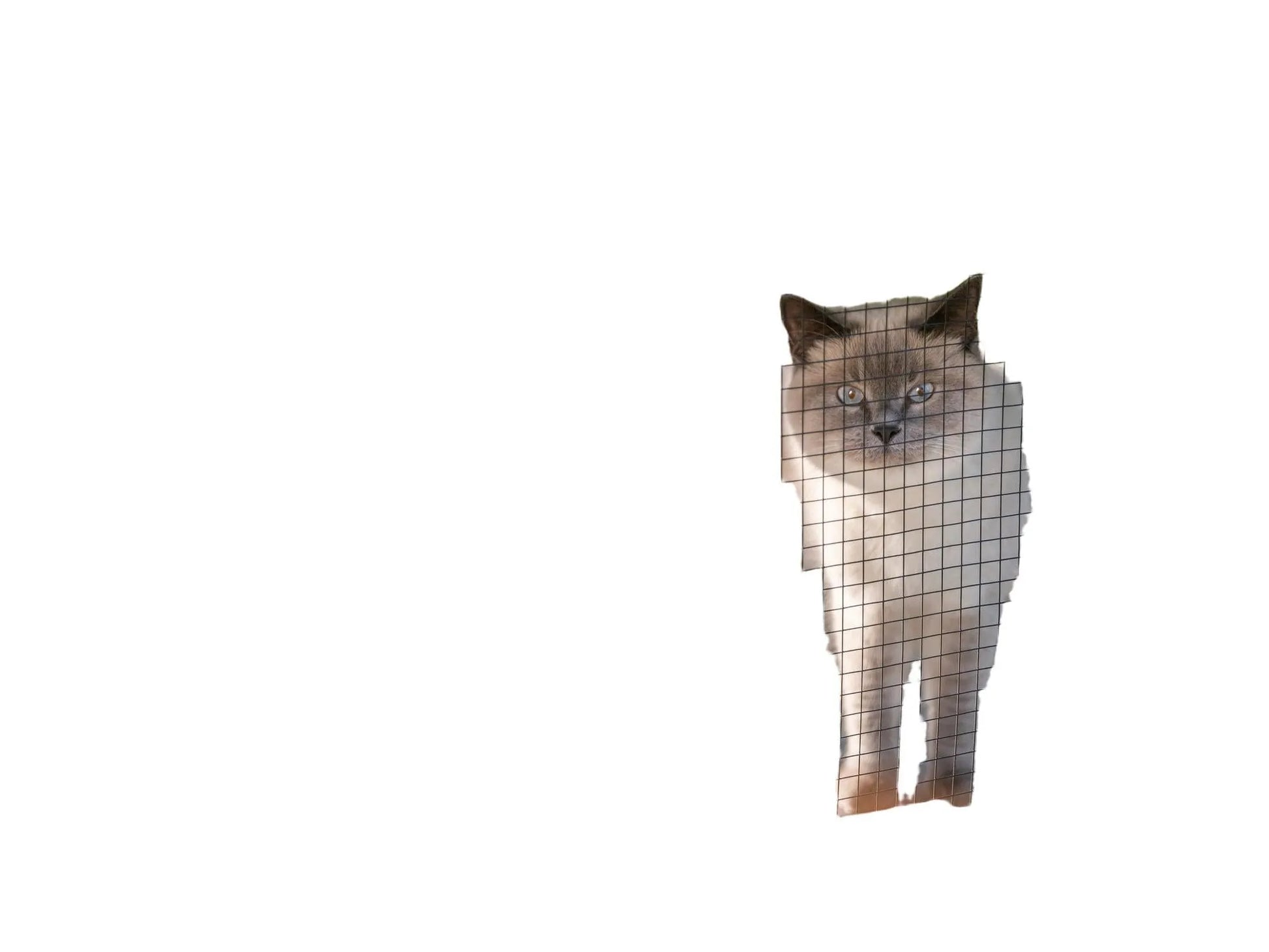Grå Trixie utendørs lekegård til katt med netting, hule, plattformer og en katt som ser ut.