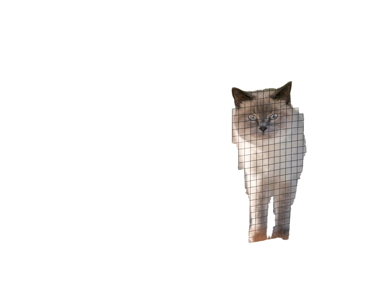Grå Trixie utendørs lekegård til katt med netting, hule, plattformer og en katt som ser ut.