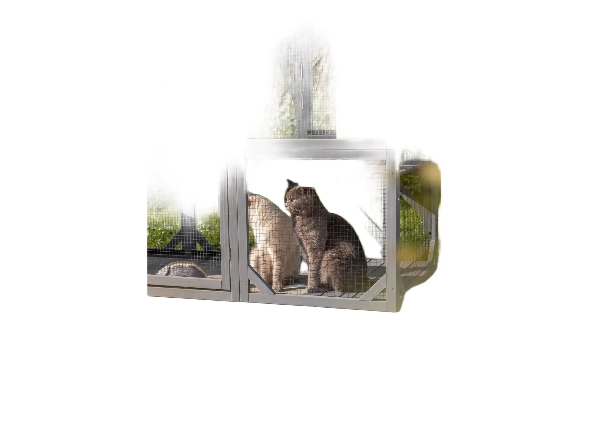 Grå Trixie utendørs lekegård til katt med nettingvegger, to katter, klorestolpe og plattformer.