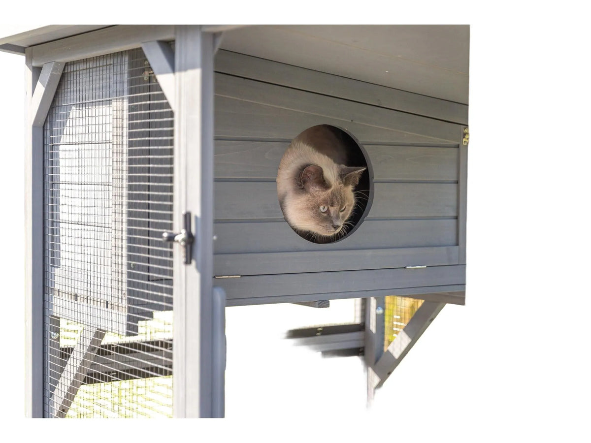 Grå Trixie utendørs lekegård i tre og netting med en katt som kikker ut av en hule.