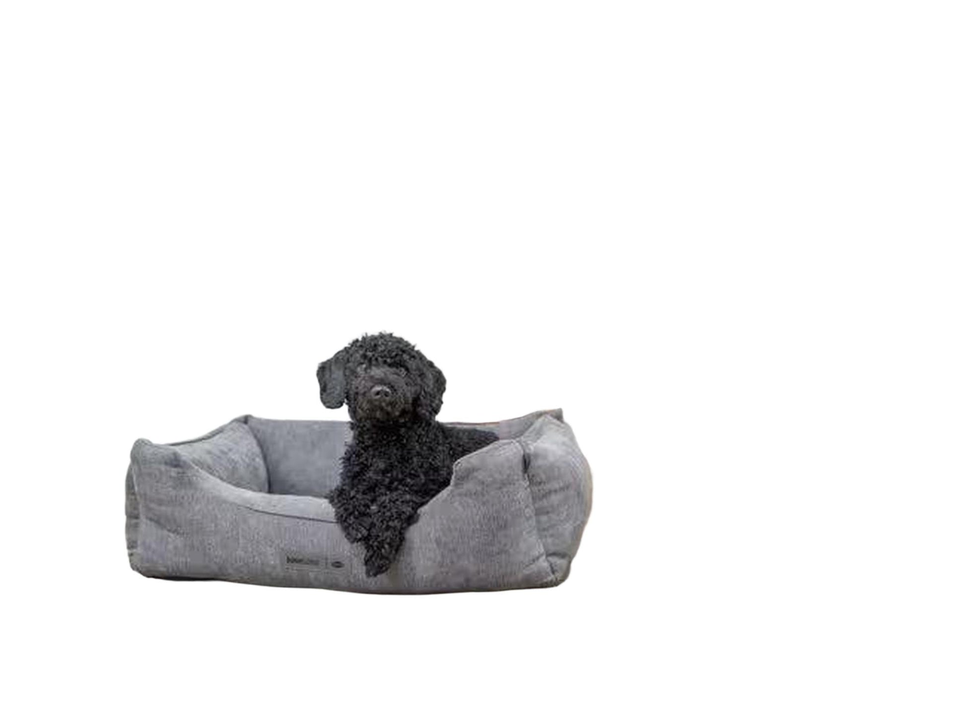 Grå ortopedisk Trixie Vital Bed Lennox hundeseng i chenille-stoff med en svart hund liggende i et lyst rom.