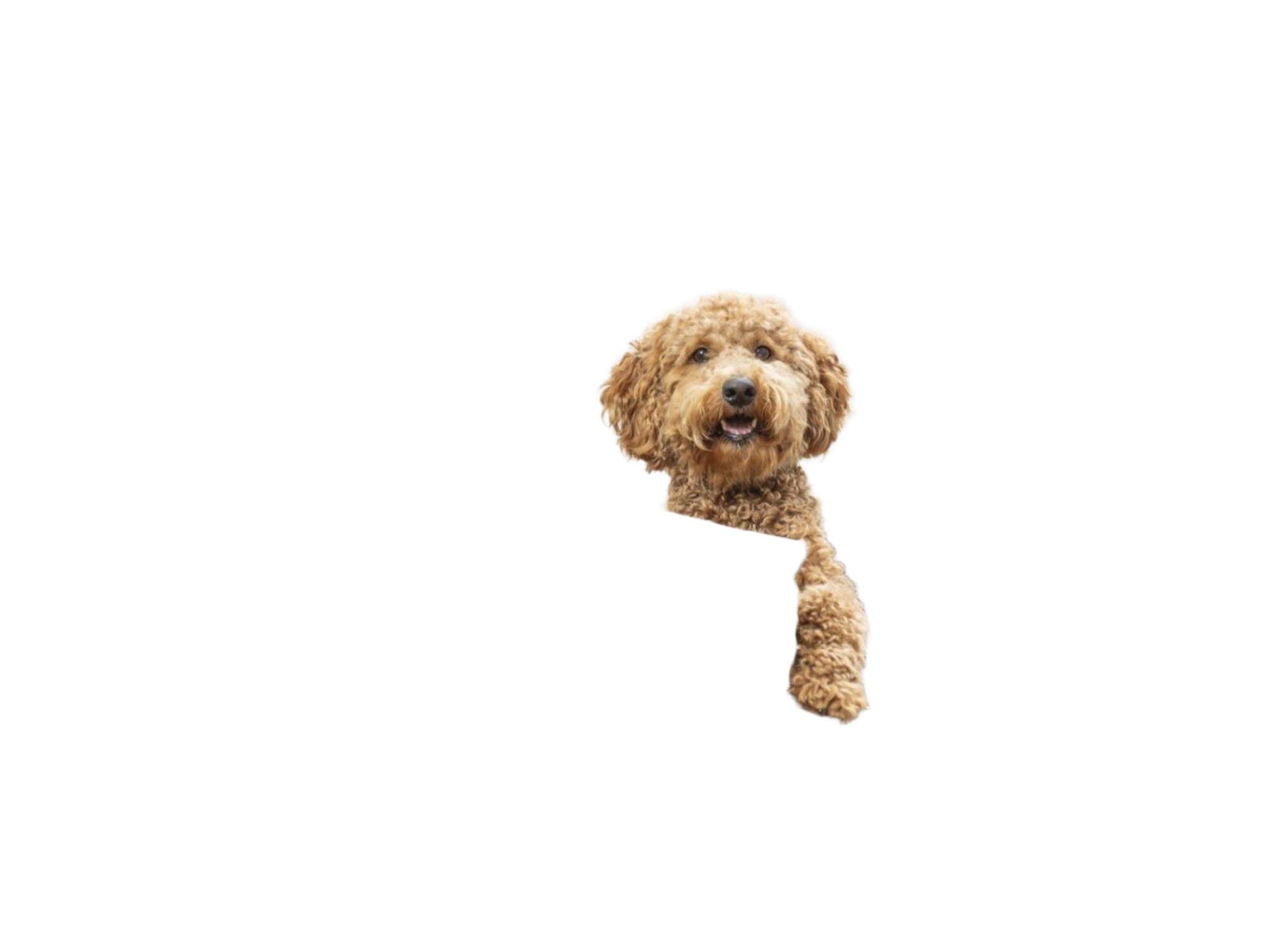 Trixie Vital Ortopedisk Hundeseng i Chenille