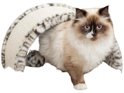 Ragdoll-katt i en hvit og leopardmønstret Trixie klørebue Leo med sisal og myk plysj.