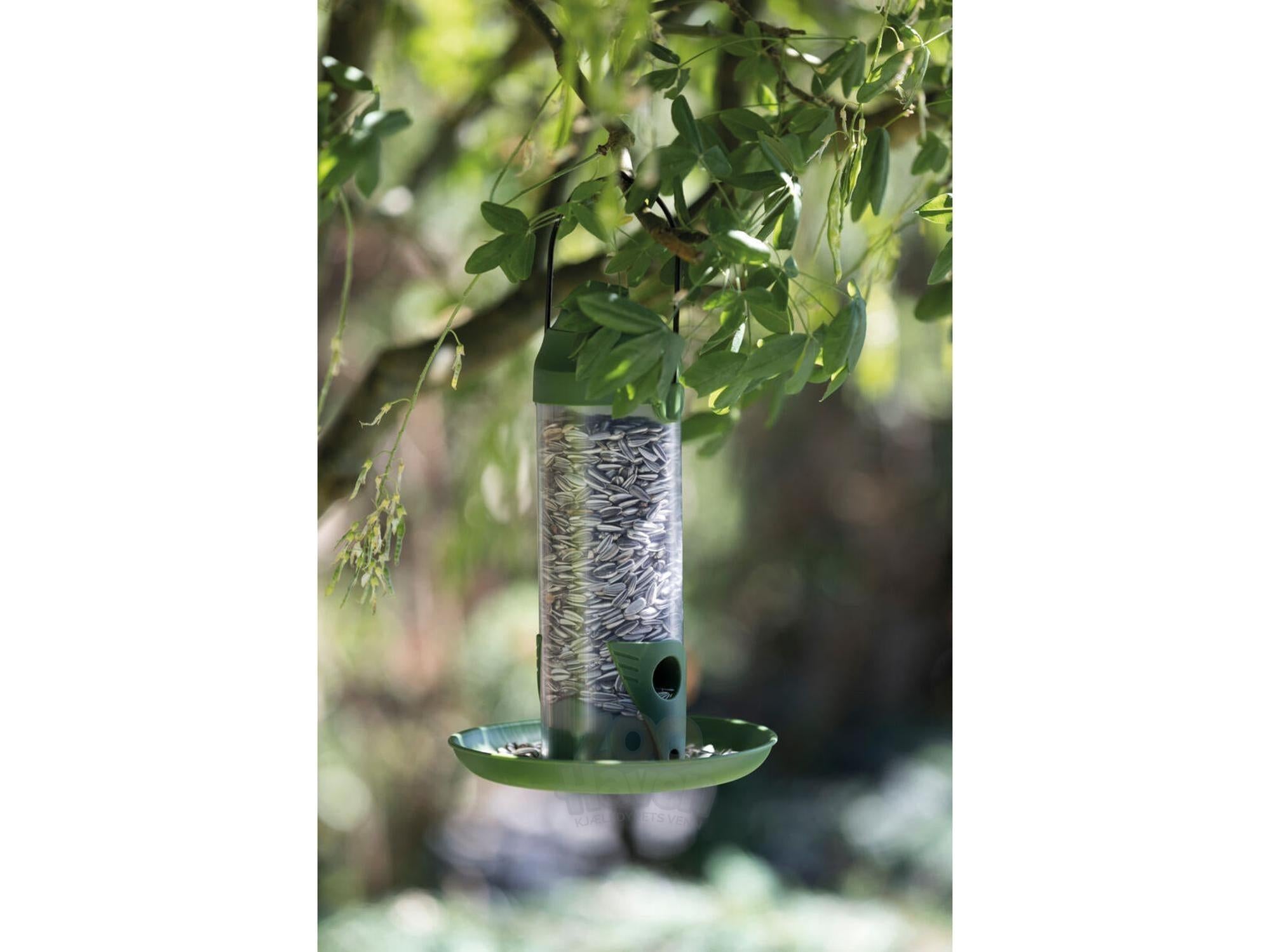 Grønn Trixie søyleformet fuglemater i værbestandig plast, 22 cm, fylt med solsikkefrø, henger fra en gren.