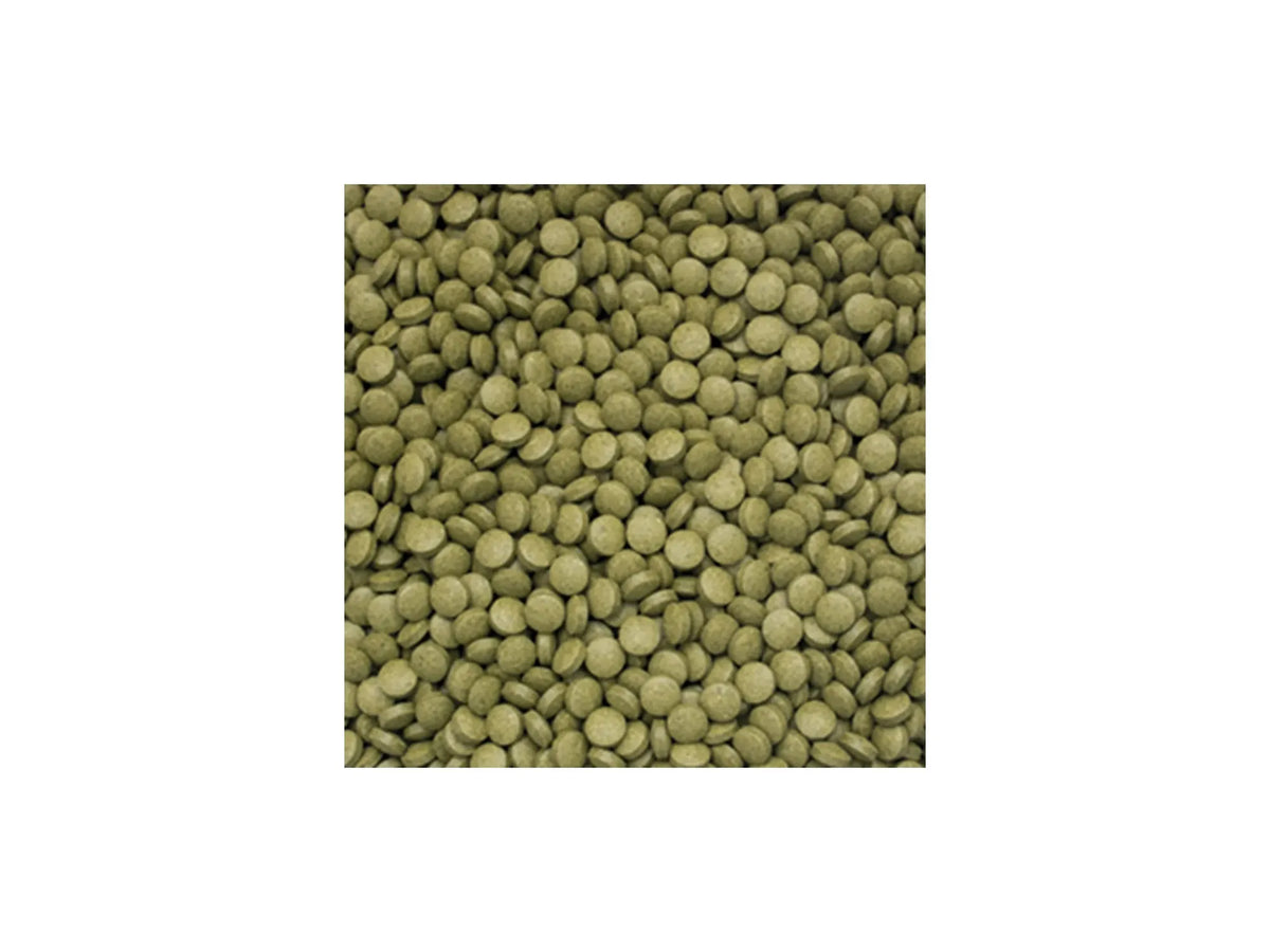 Tropical 3-Algae Tablets B