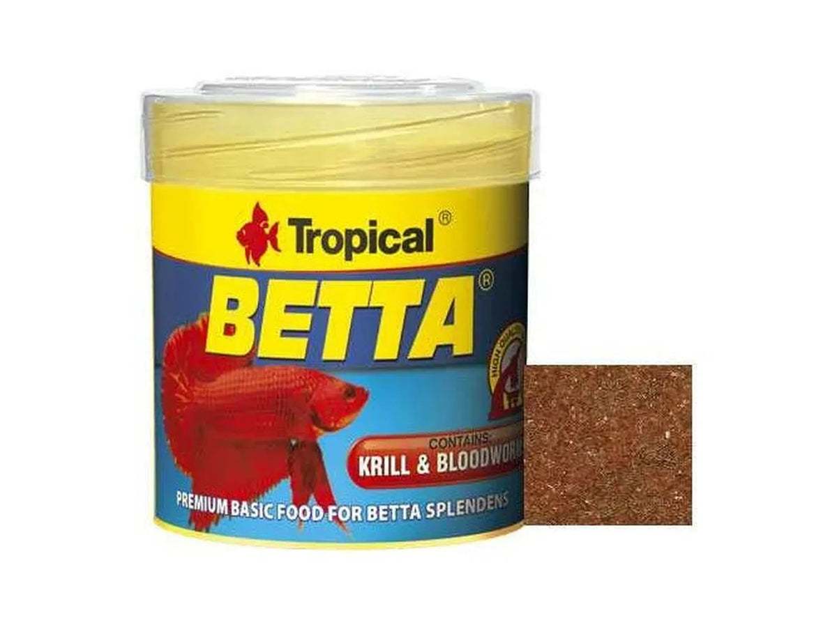 Tropical Betta flak