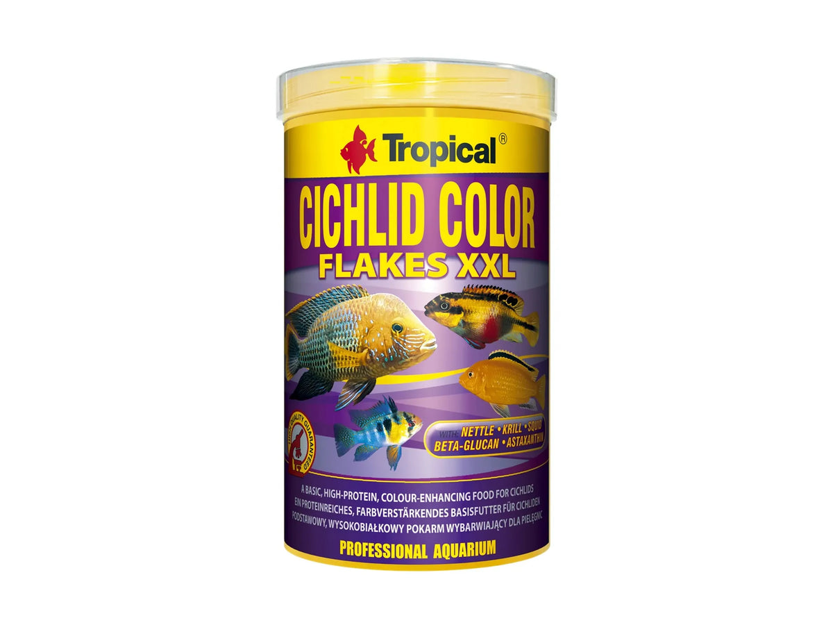 Tropical Cichlid Color XXL