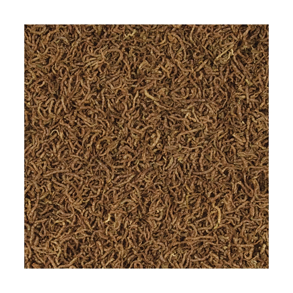 Tropical FD Brine Shrimp 100 ml