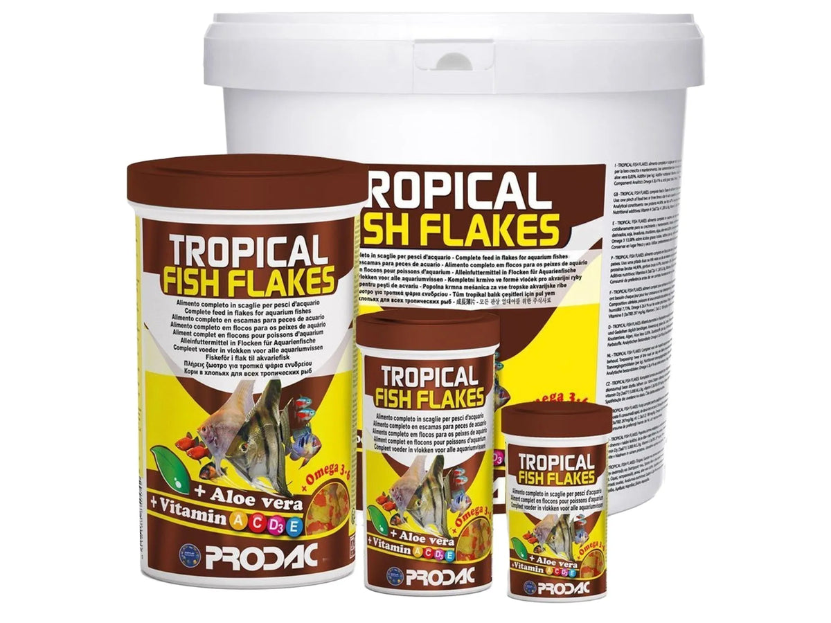 Prodac Tropical Fish Flakes: large white bucket and three brown containers with fish and "Aloe vera + Vitamin A C D3 E" labels.