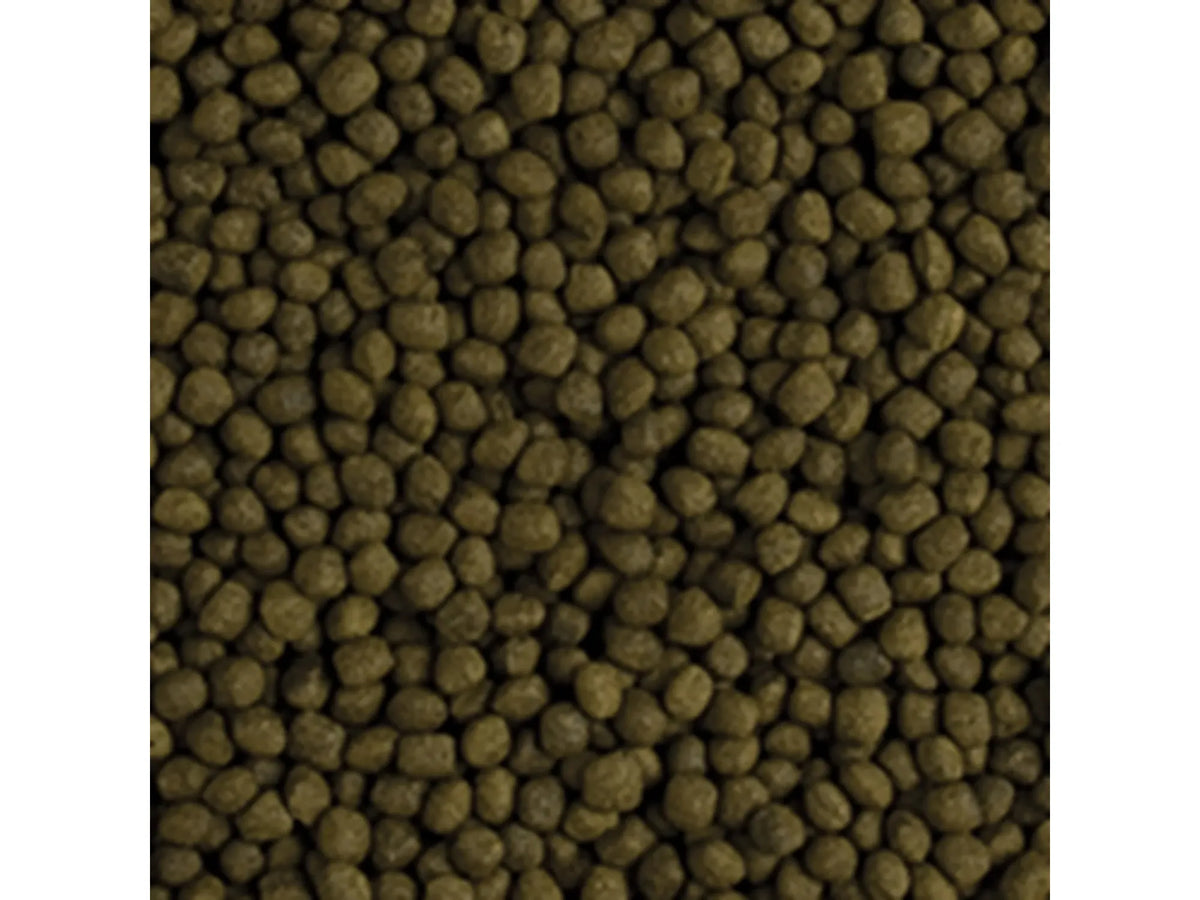 Tropical Flower Horn Adult pellets