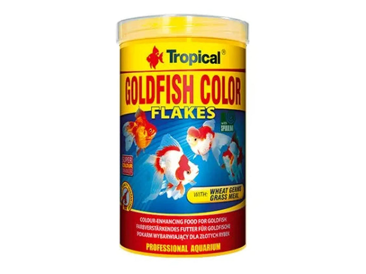 Tropical Goldfish Colour flak
