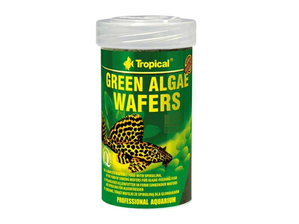 Tropical Green Algae Wafers