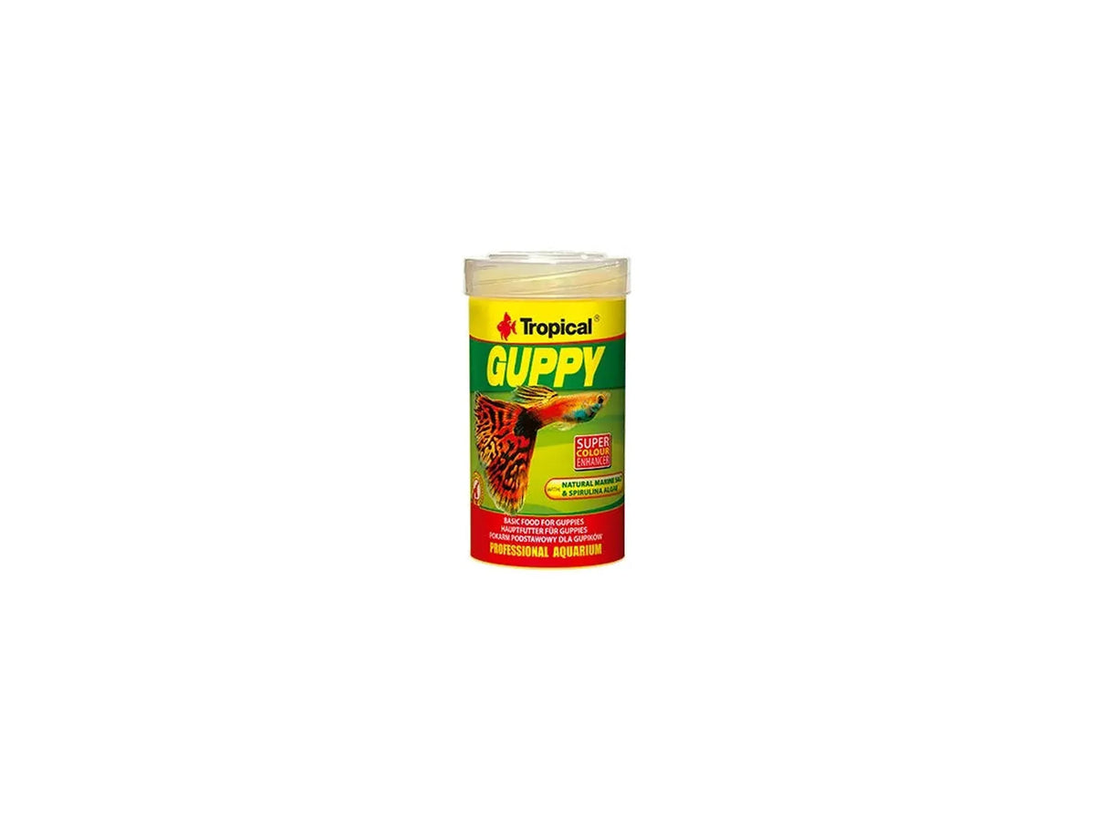 Tropical Guppy flak
