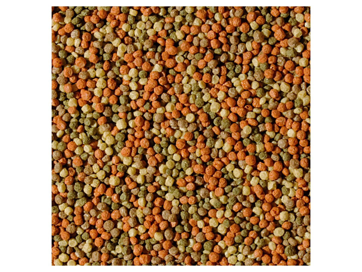Tropical Koi fargepellets Adult M