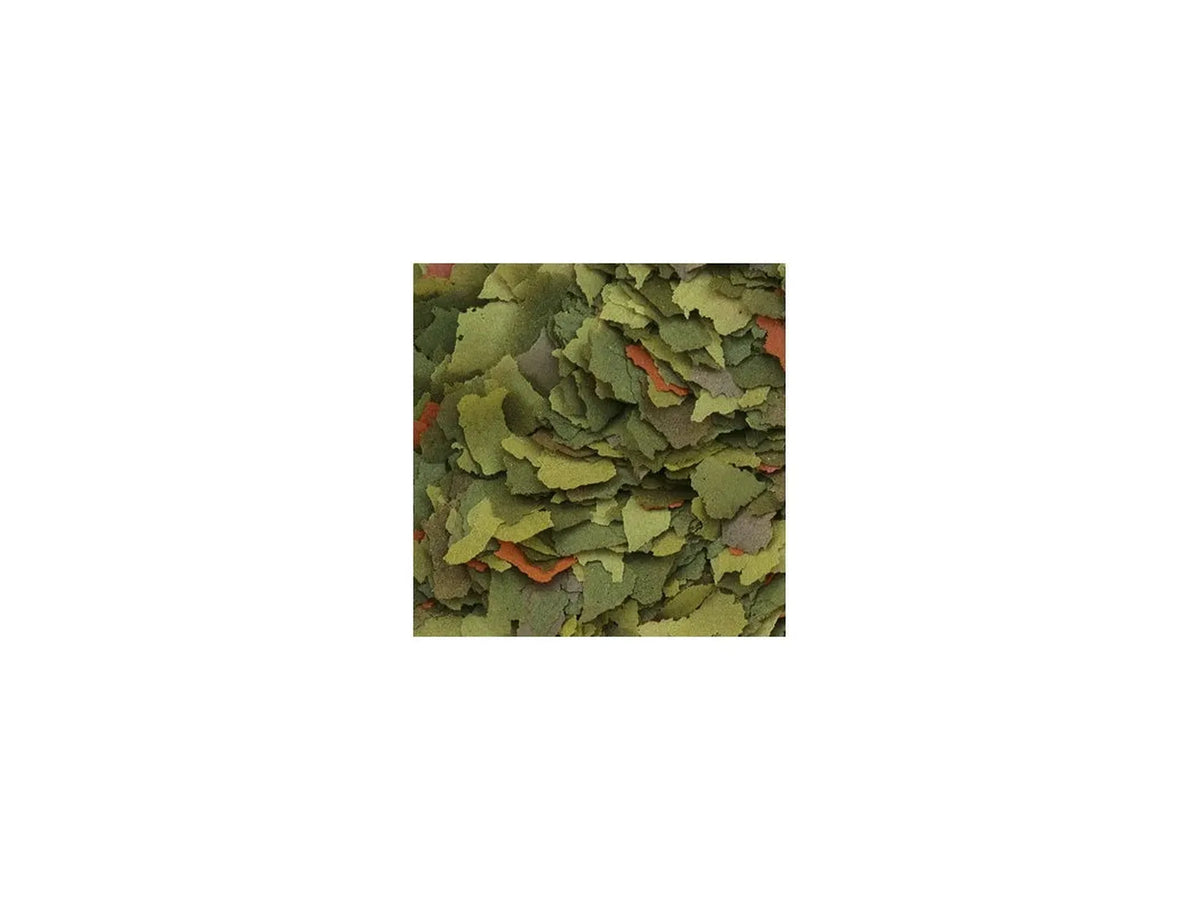 Tropical Malawi flak