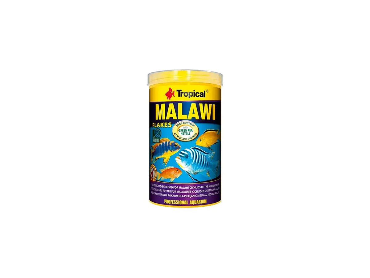 Tropical Malawi flak