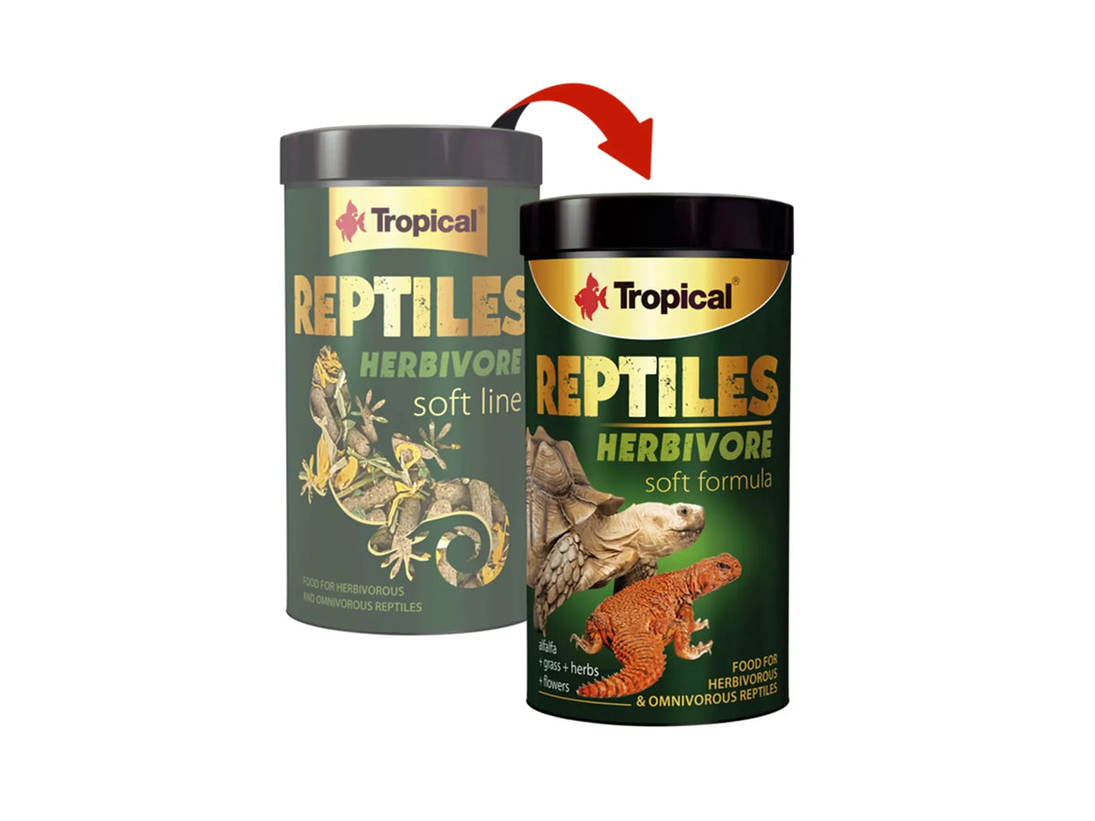 Tropical Reptiles Soft Herbivore