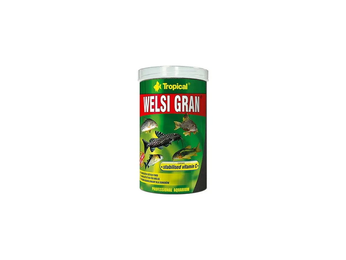 Tropical Welsi Gran