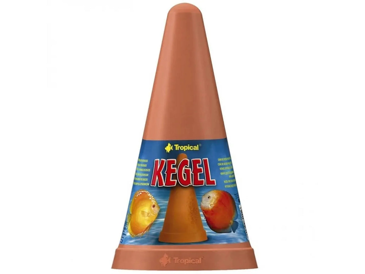 Tropical diskus gytekjegle