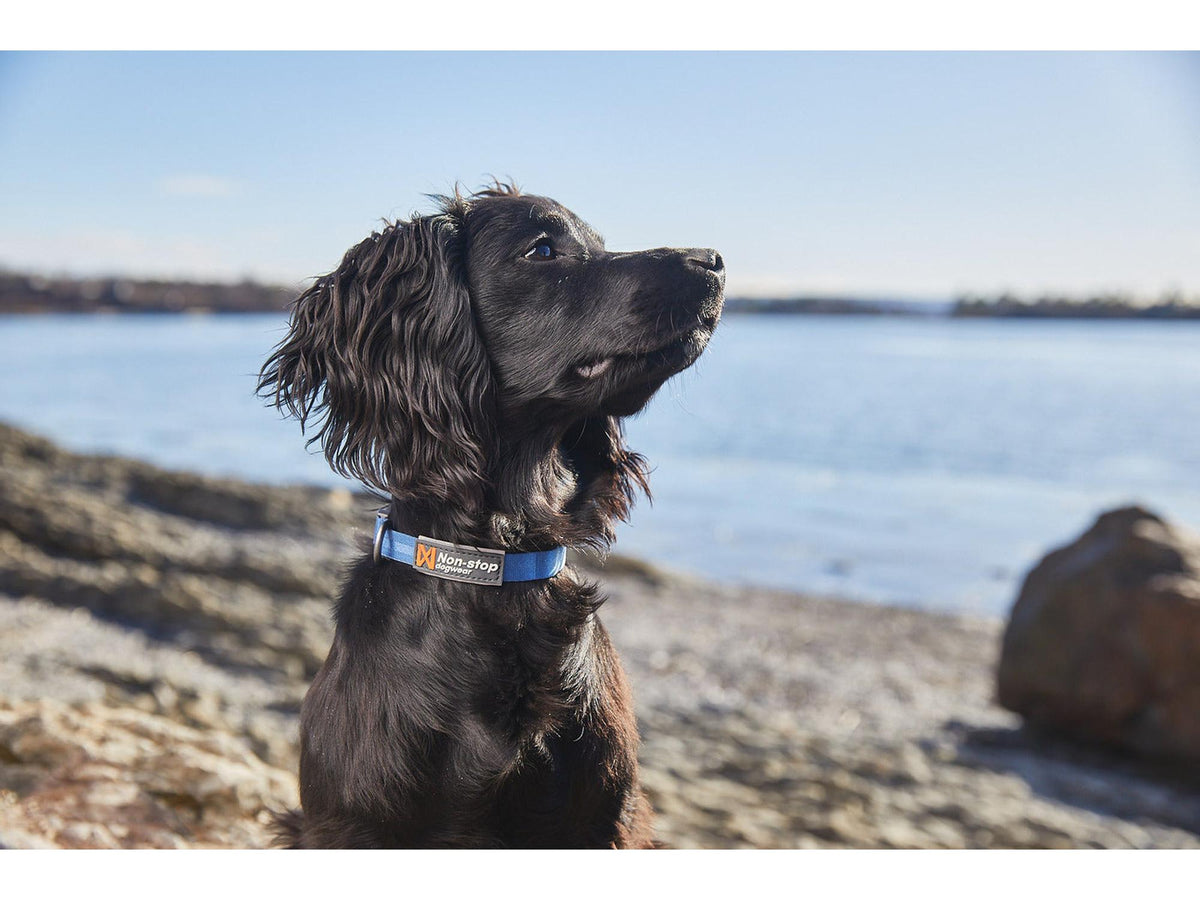 Non-stop dogwear Tumble collar valpehalsbånd – Blå