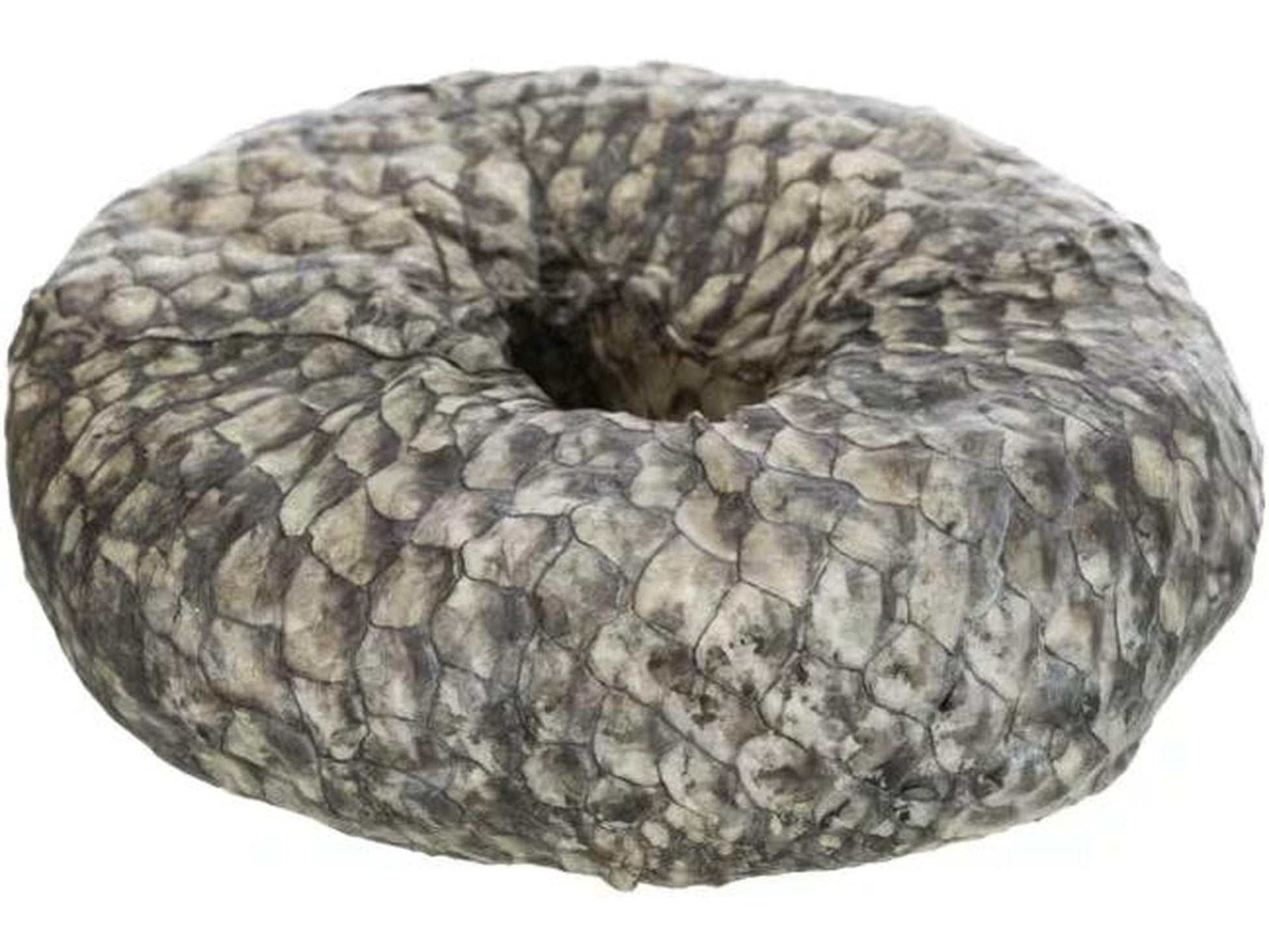 Tyggering Natur med Fisk, en tykk, grå tyggering av råhud dekket med fiskeskinn, Ø10 cm.