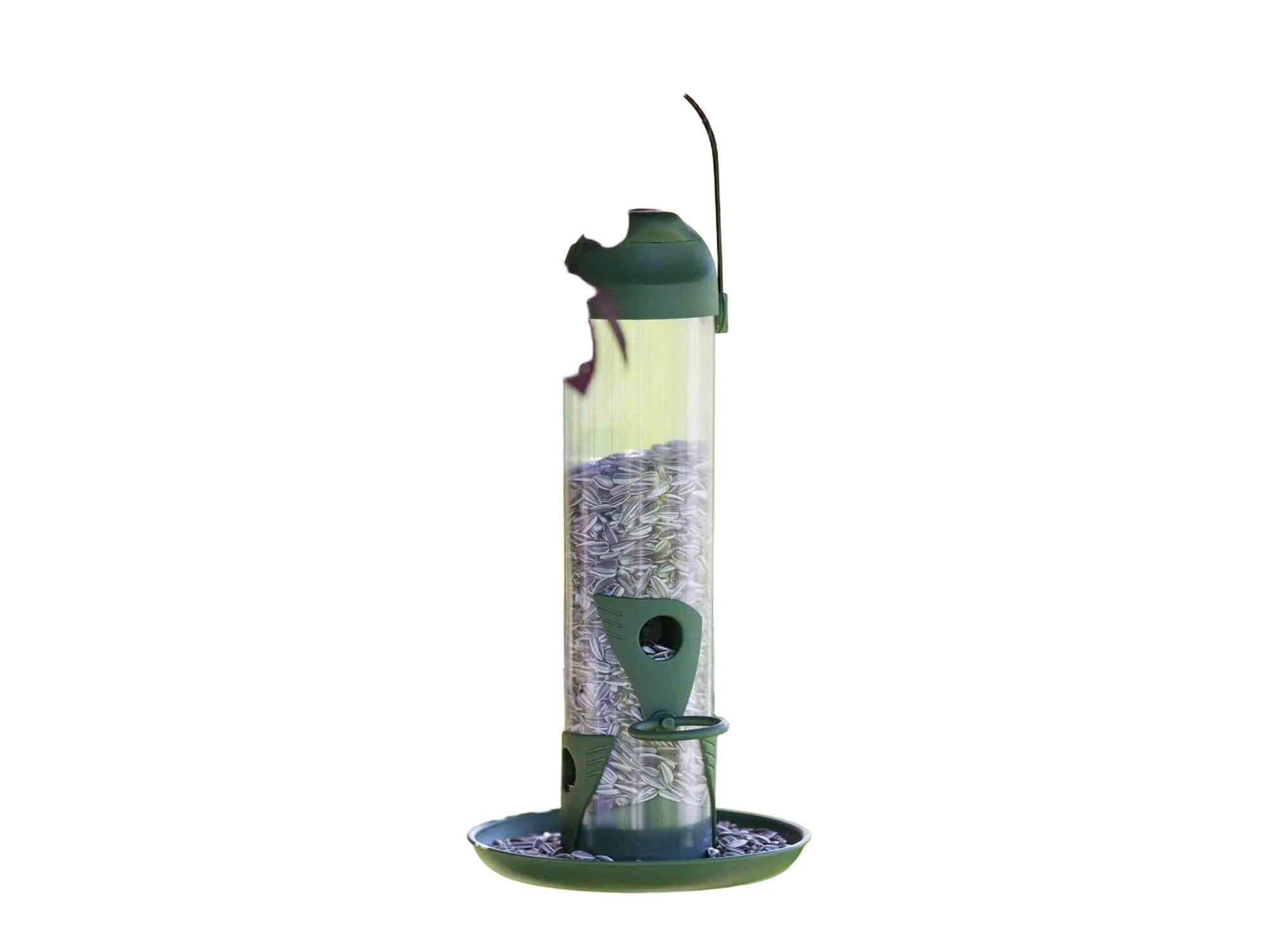 Grønn søyleformet fuglemater i plast, 29 cm, fylt med solsikkefrø, henger fra en gren.