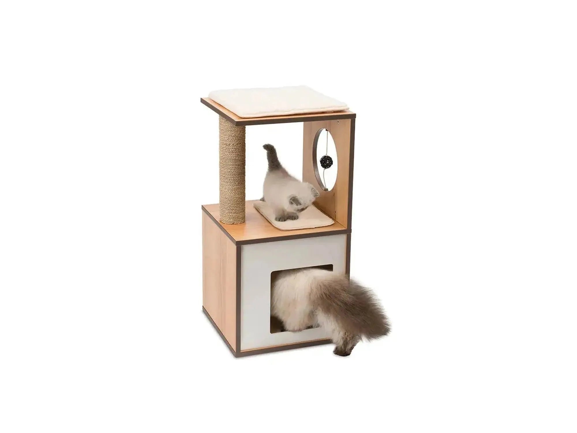 Vesper V-Box Small Walnut kattemøbel med hule, klorestolpe og liggeflater. En katt leker i og på møbelet.