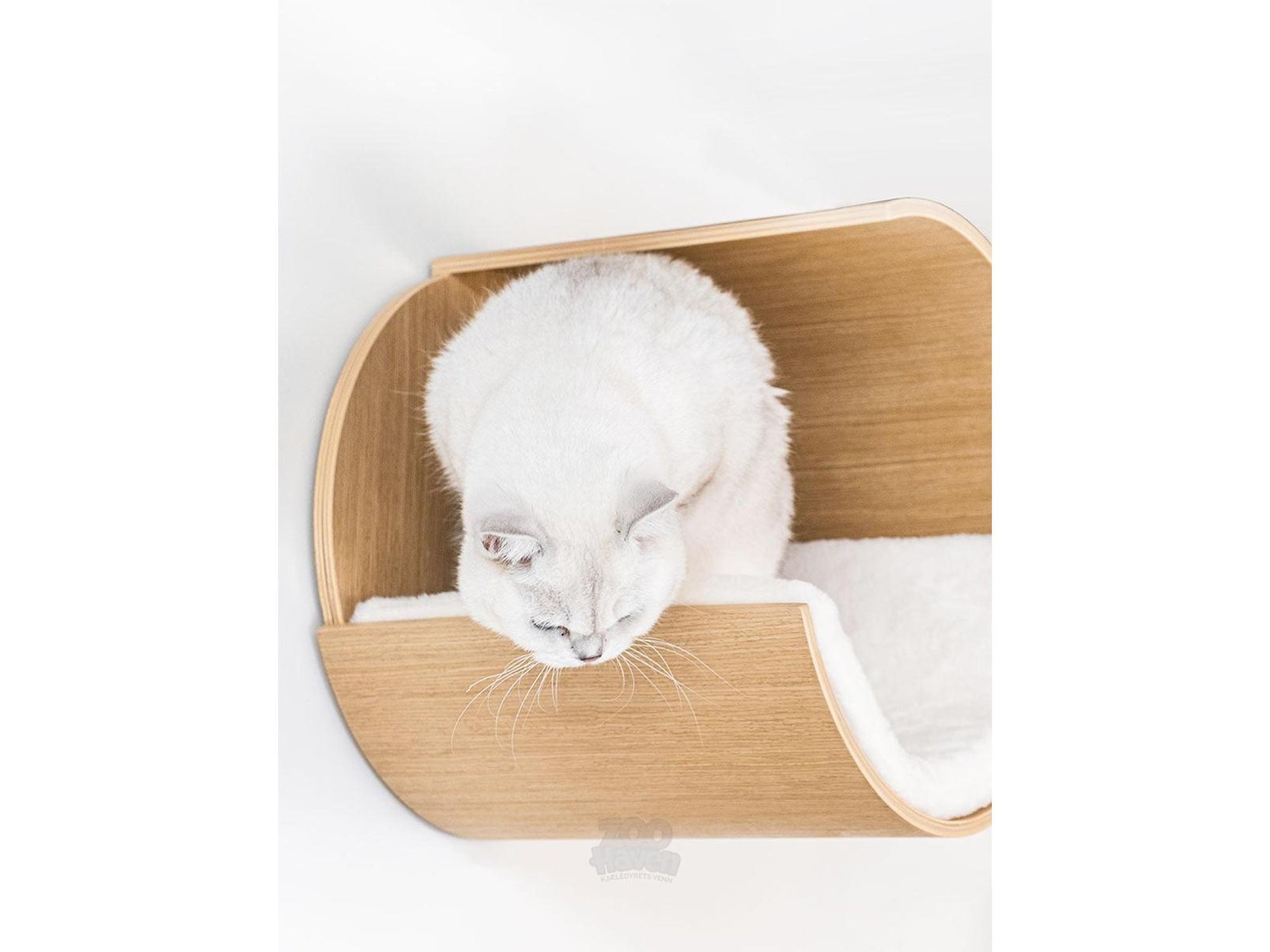 Katt sover i Moon 40 kattekurv på vegg