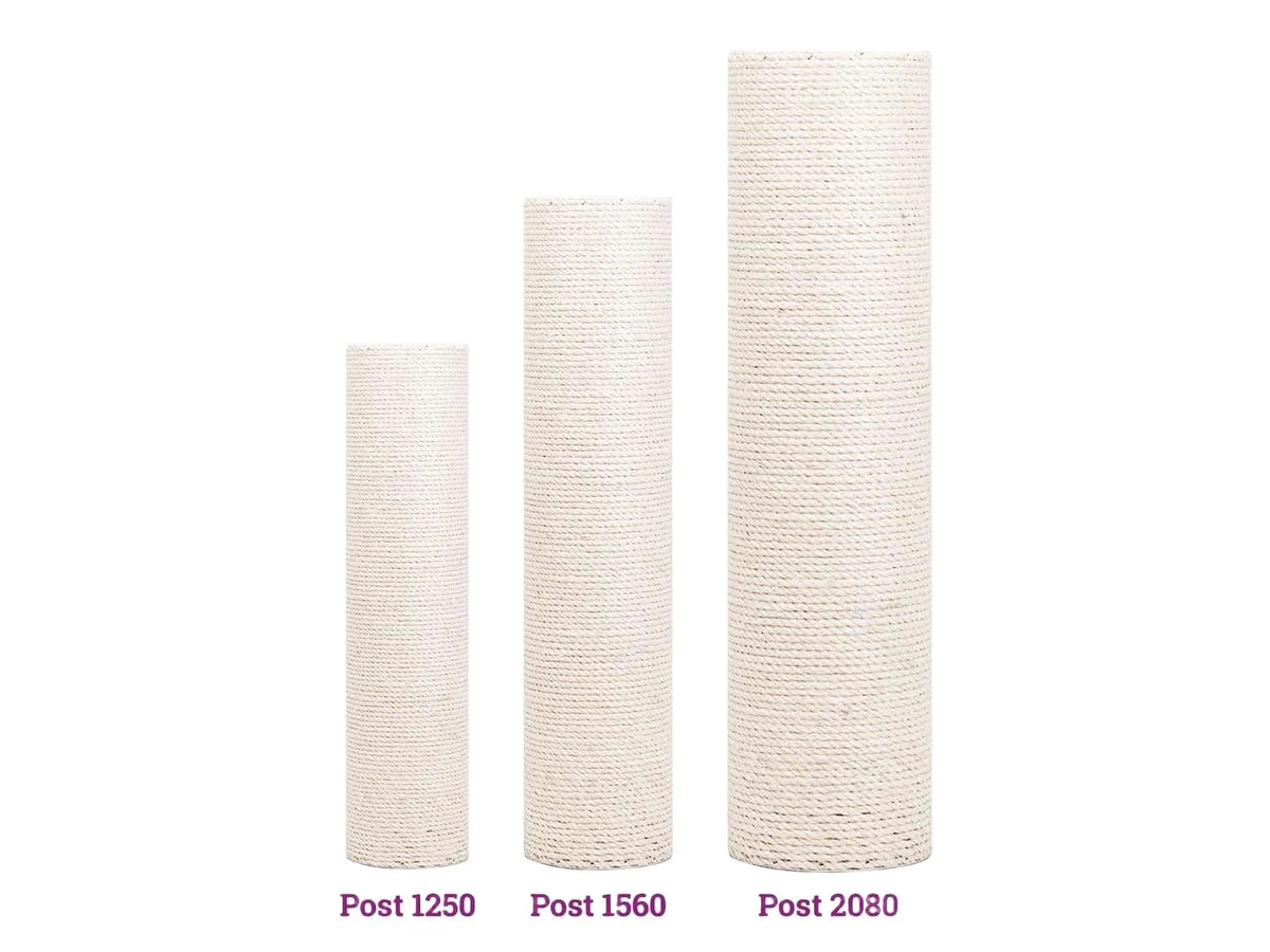 Wall of Rebels Post 1250 på kattevegg
