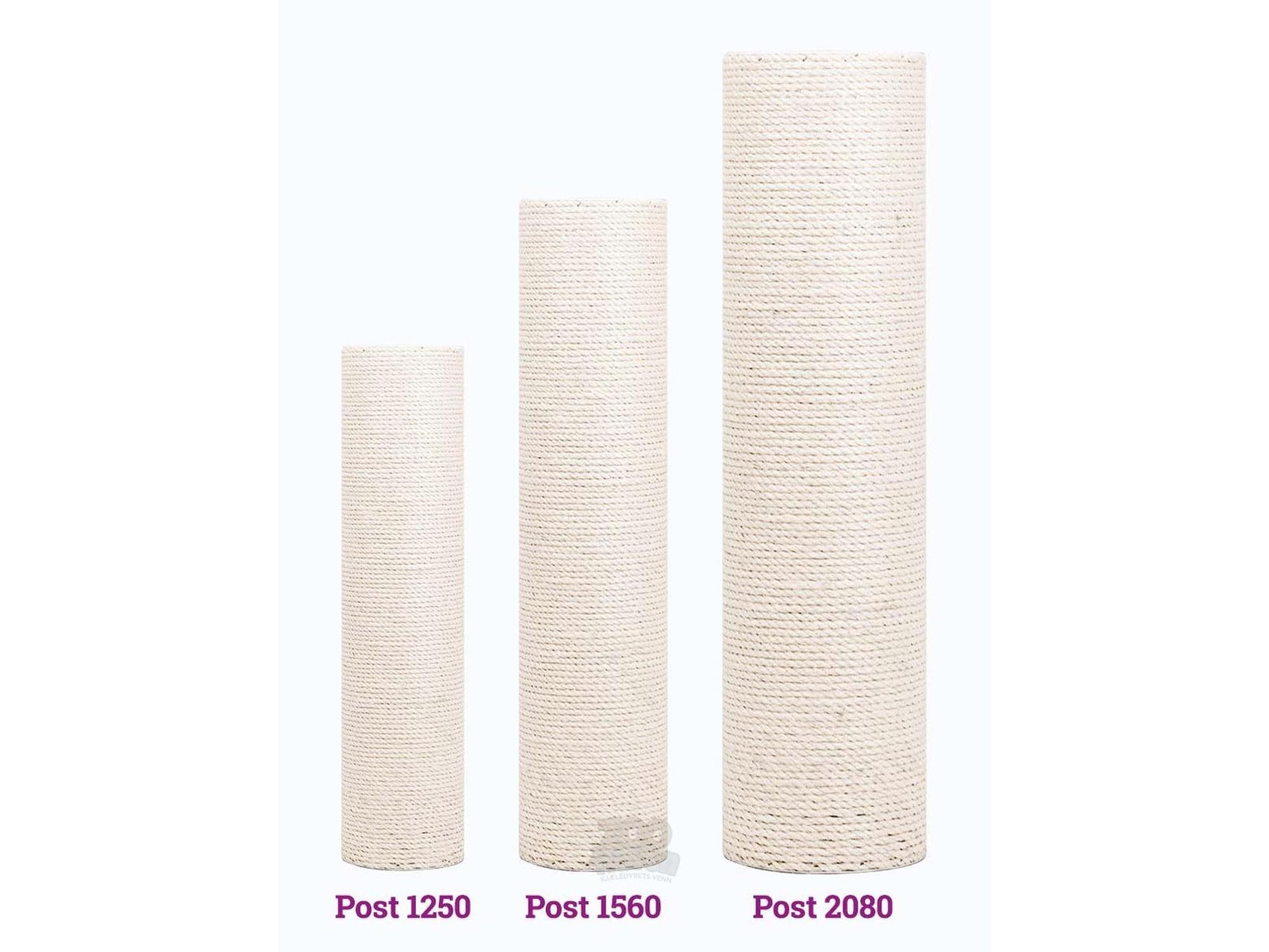 Wall of Rebels Post 1560 på kattevegg