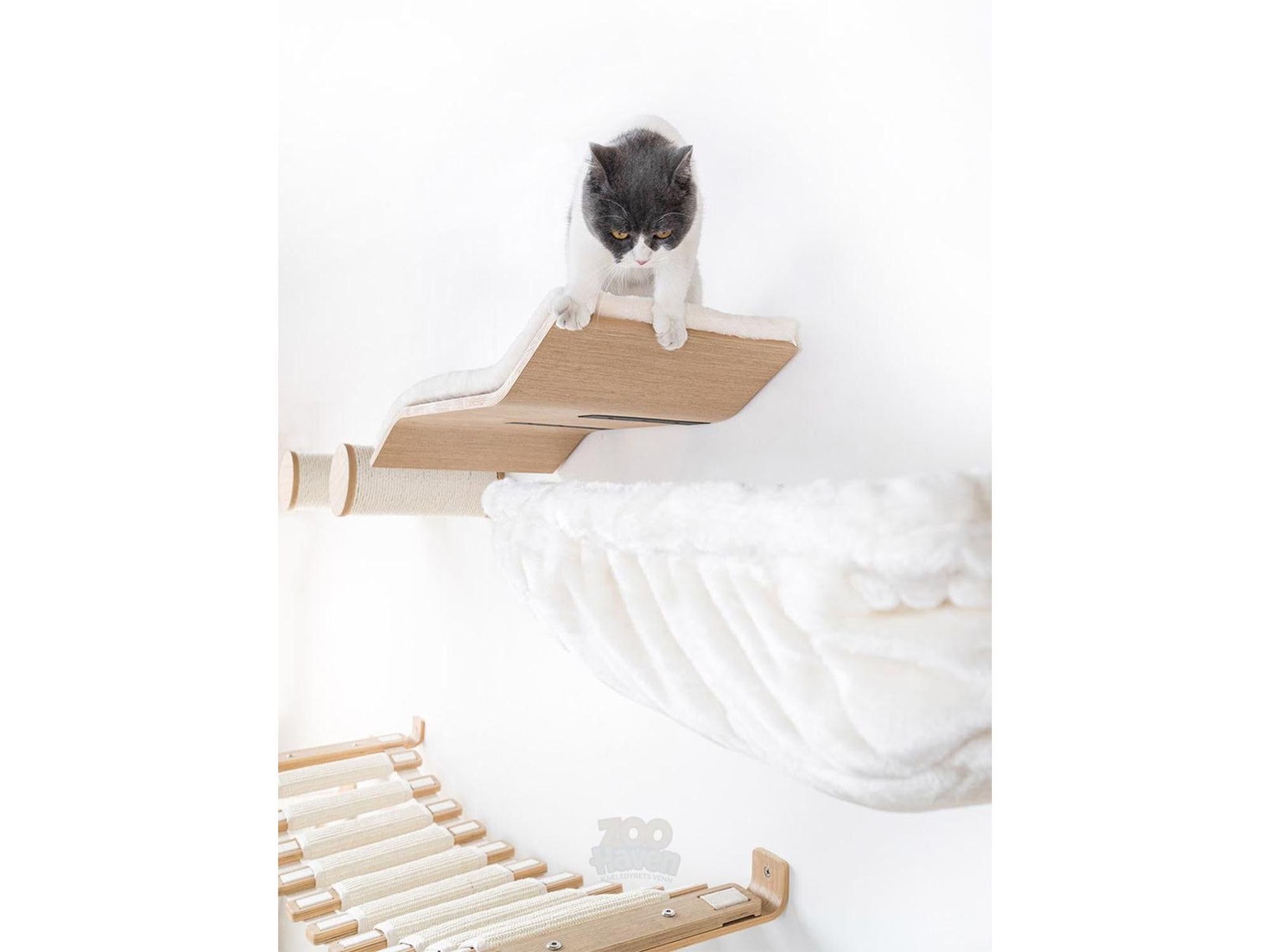 Katt hviler på Wave 70 med kattepute