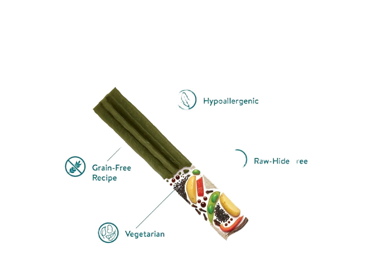 Grønn Whimzees Stix dental tyggepinne med illustrasjon av vegetariske, kornfrie ingredienser.