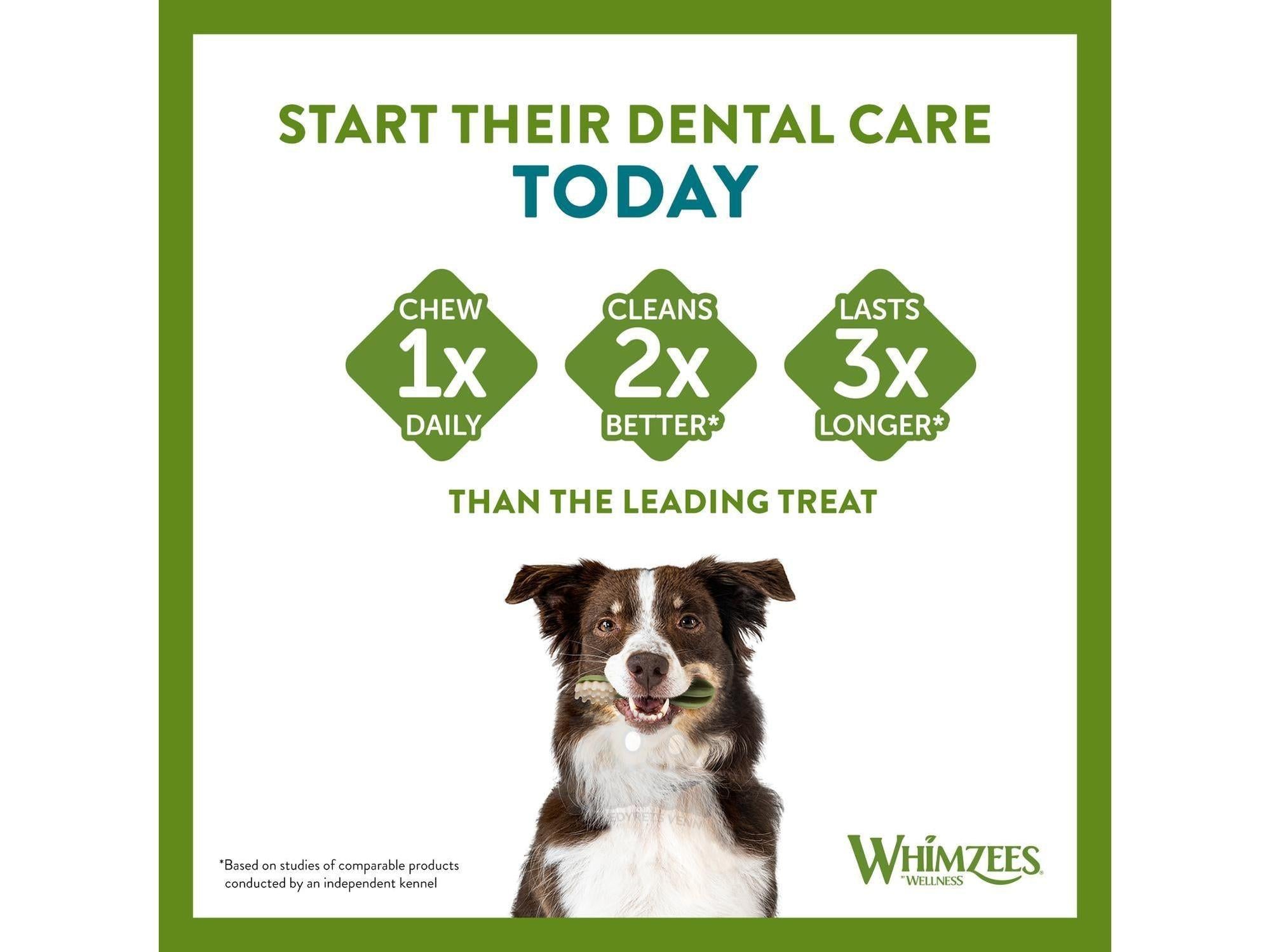 Whimzees Toothbrush – natural dog dental chew