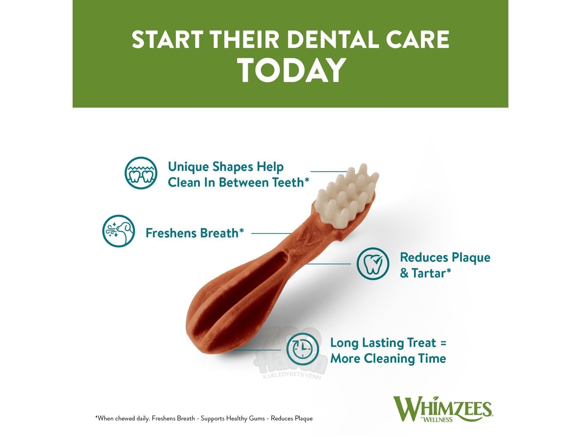 Whimzees Toothbrush – natural dog dental chew