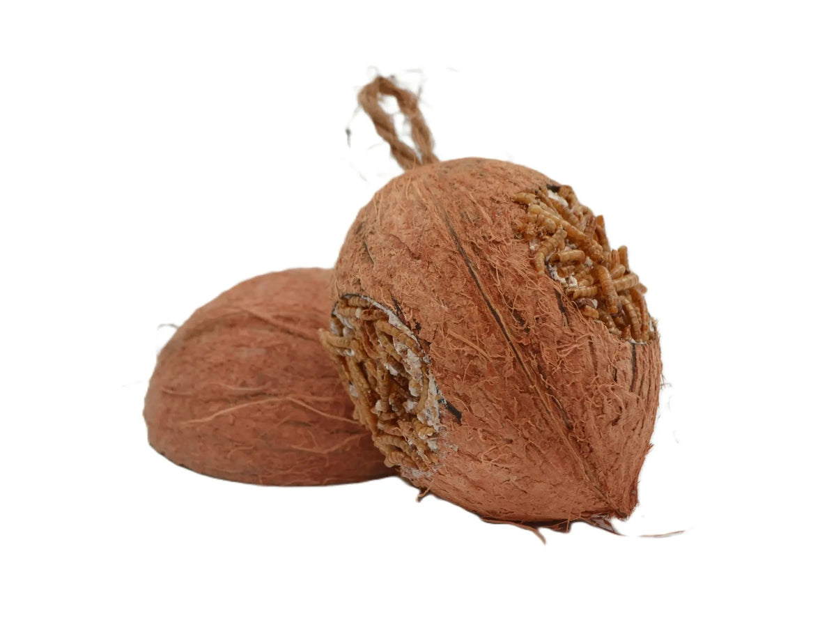 WildTime kokosnøtt med fett og melormer 350 g med 3 hull