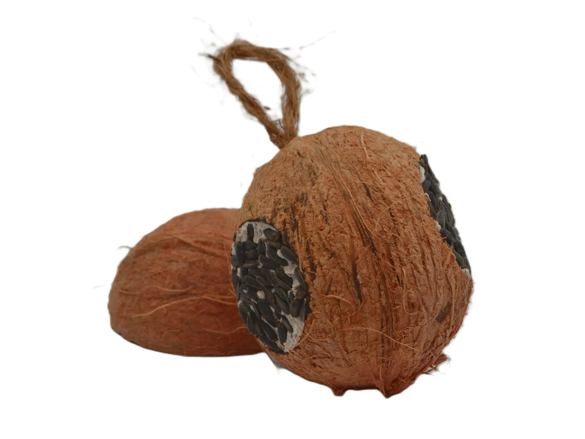 WildTime kokosnøtt med fett og solsikkefrø 350 g med 3 hull