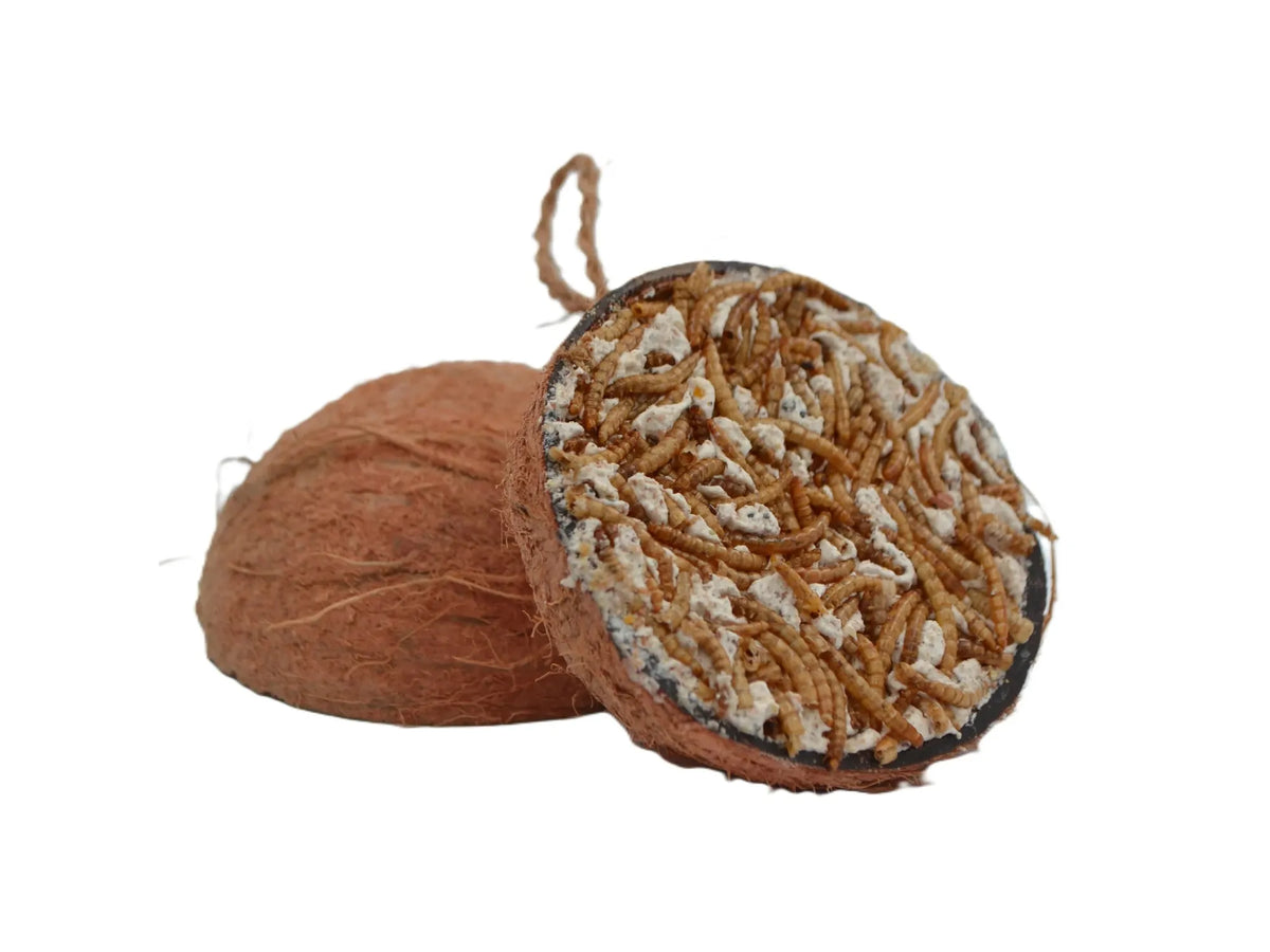 WildTime kokosnøtt med fett og melormer 200 g