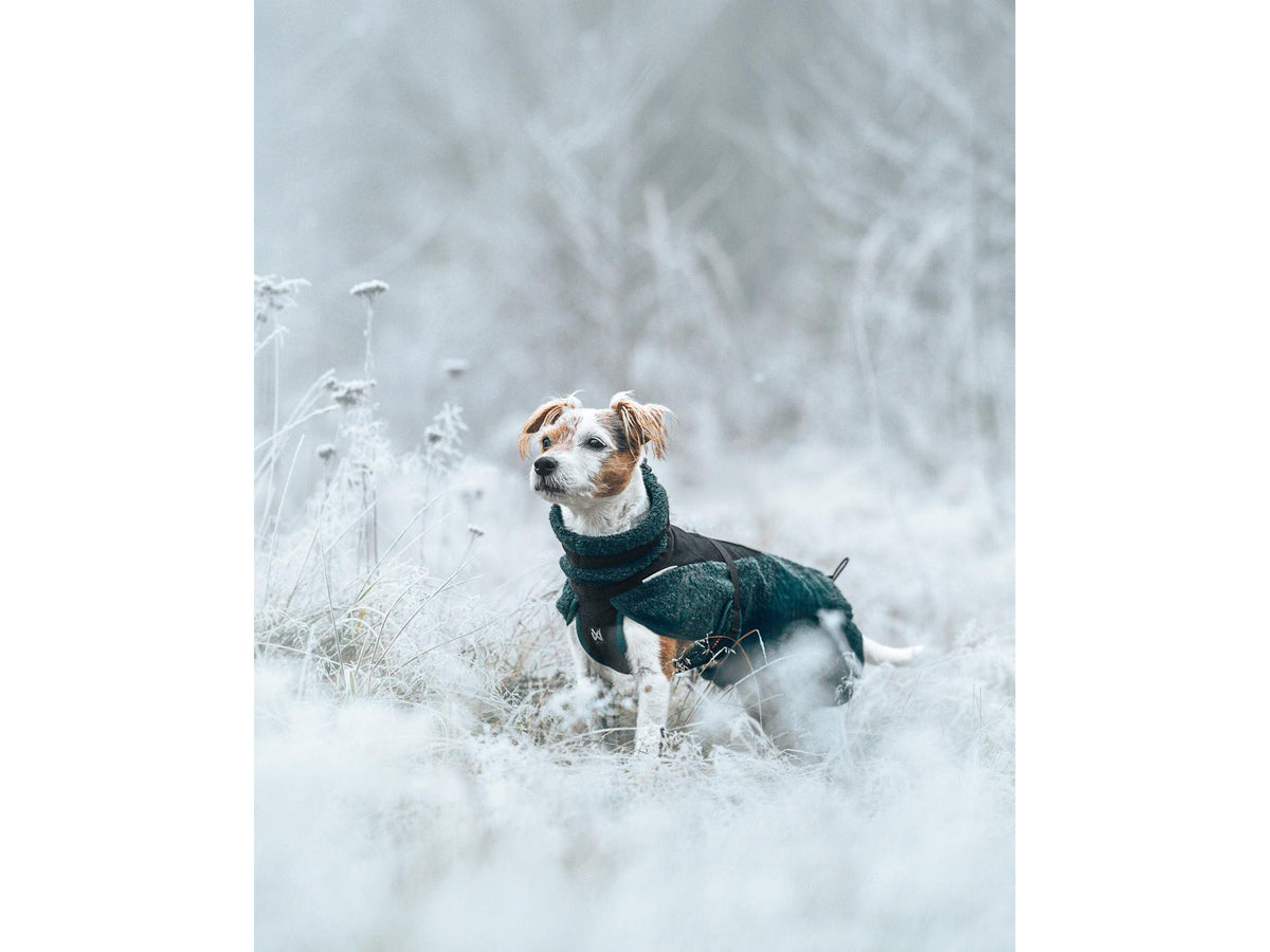 Non-stop dogwear Wool dog jacket ulldekken – Mørk teal