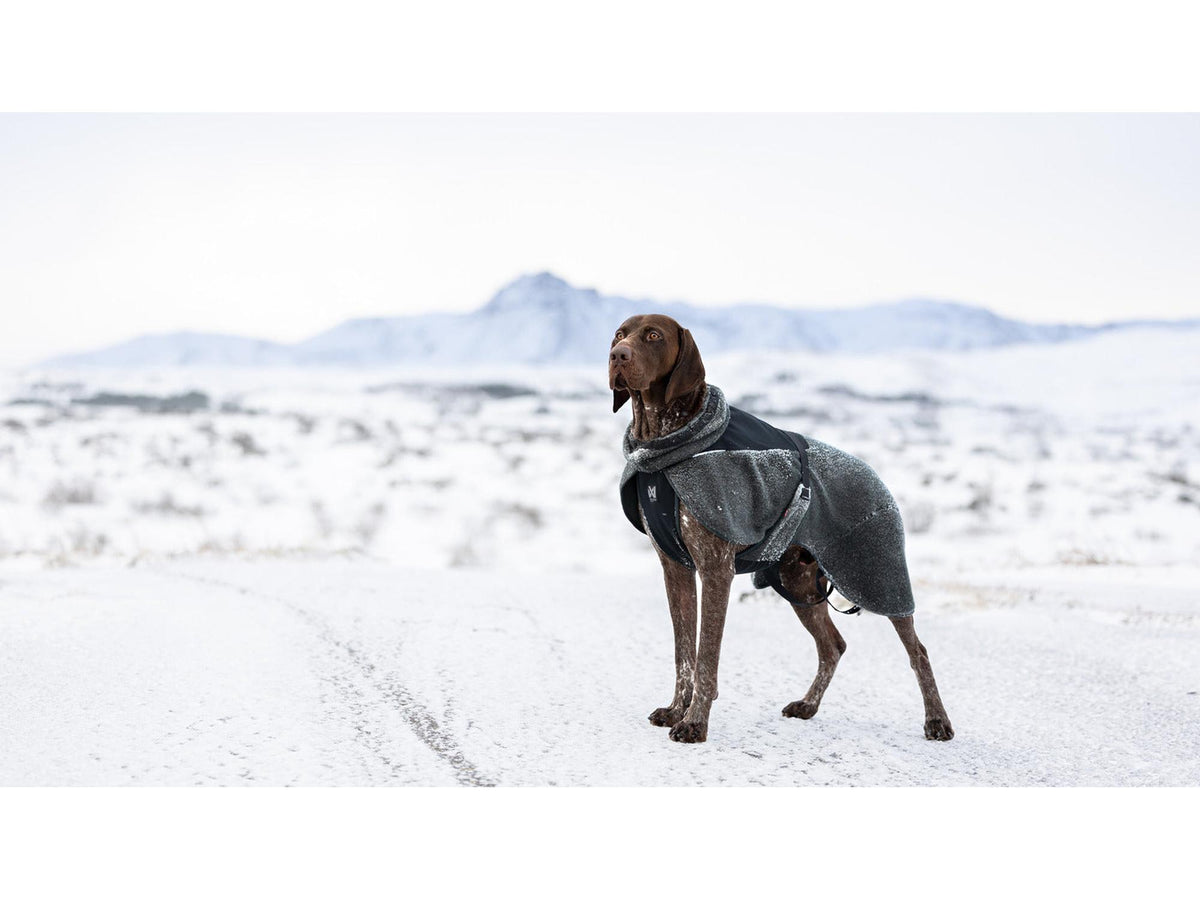 Non-stop dogwear Wool dog jacket ulldekken – Mørk teal