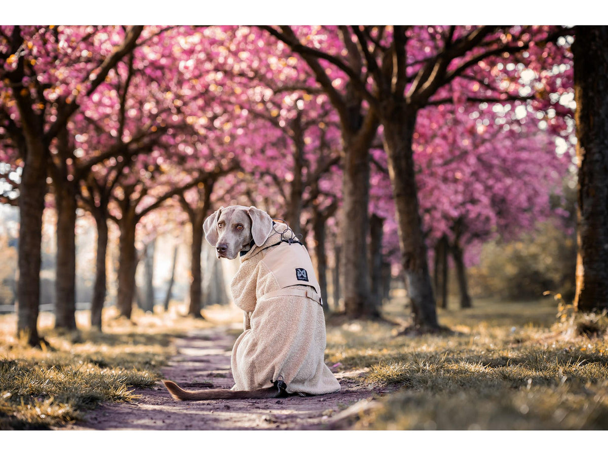 Non-stop dogwear Wool dog jacket ulldekken – Sand