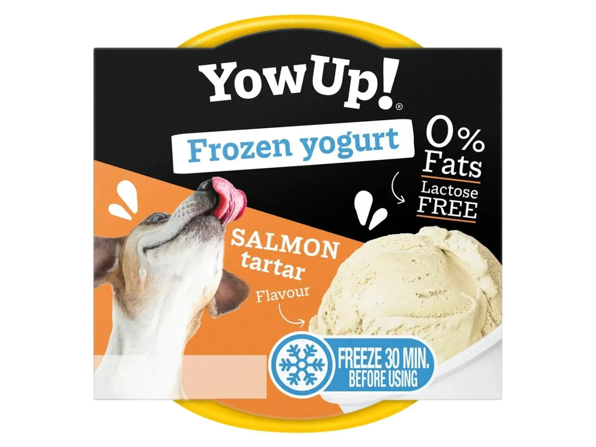 YowUp frossen yoghurt Salmon Tartar til hund og katt 110 g