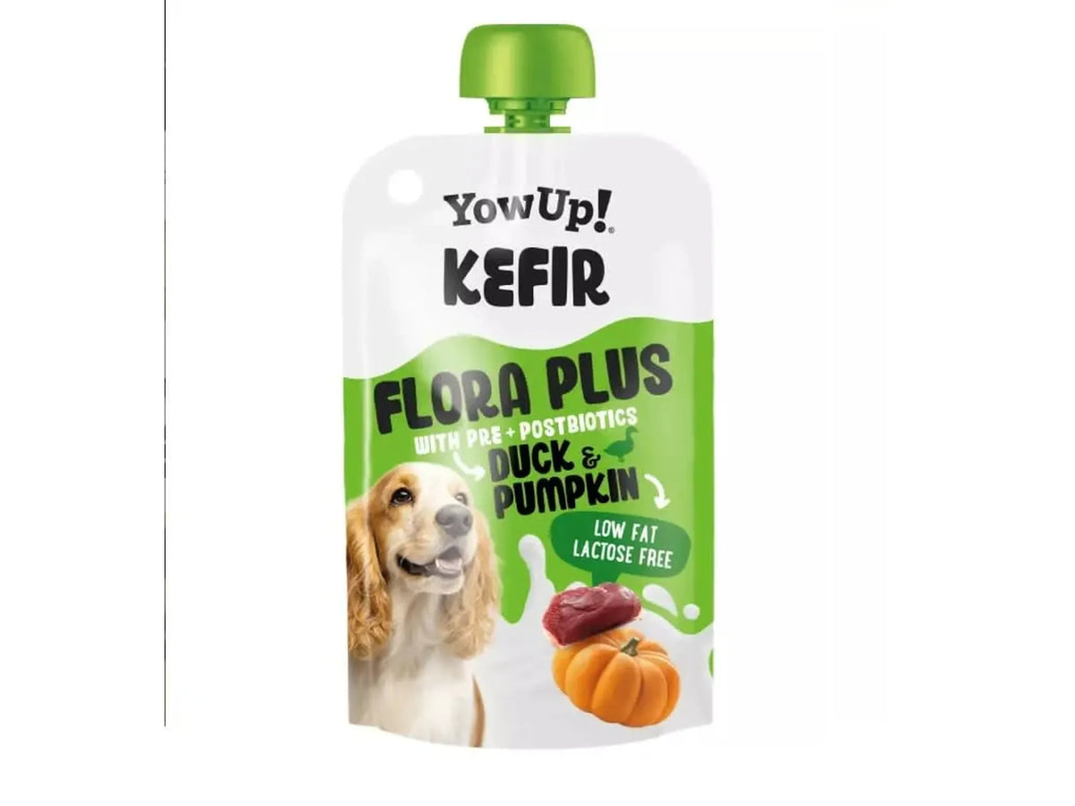 YowUp Kefir And og Gresskar til hund og katt 115 g