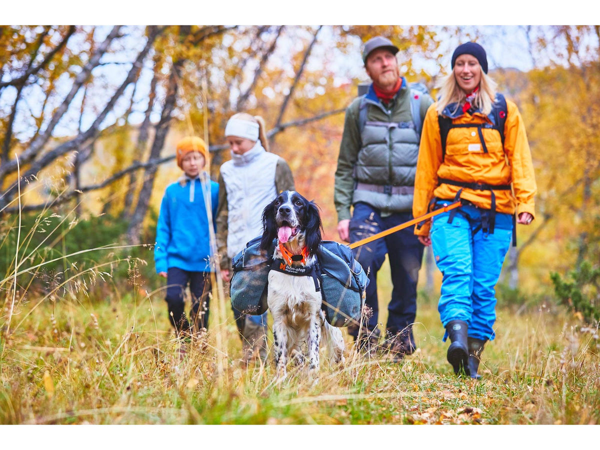 Non-stop dogwear Amundsen pack hundekløv – Svart/grå