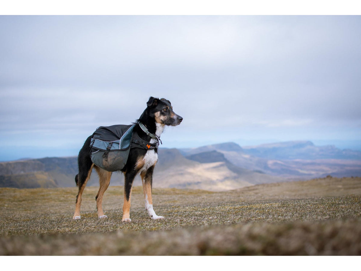 Non-stop dogwear Amundsen pack hundekløv – Svart/grå